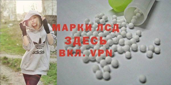 прущий лед Корсаков