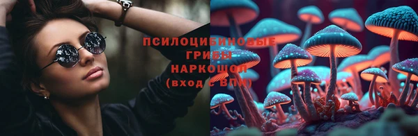 прущий лед Корсаков