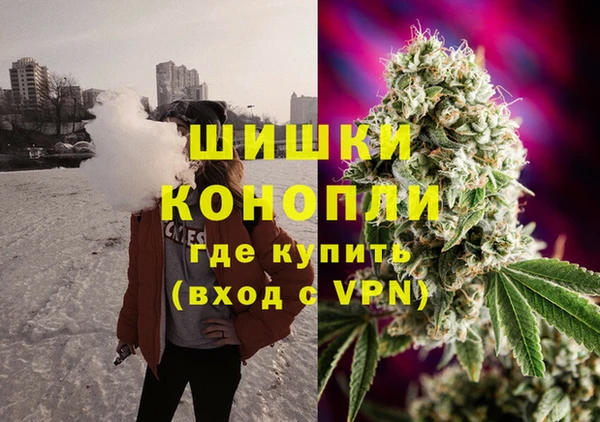 стафф Краснослободск
