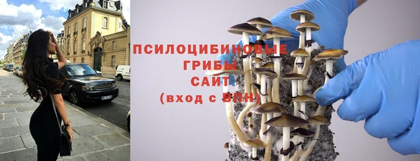 стафф Краснослободск