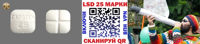 Купить закладки  Богородск  ЛСД экстази ecstasy 