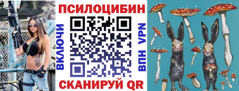 Купить закладки Богородск Псилоцибиновые грибы Magic Shrooms